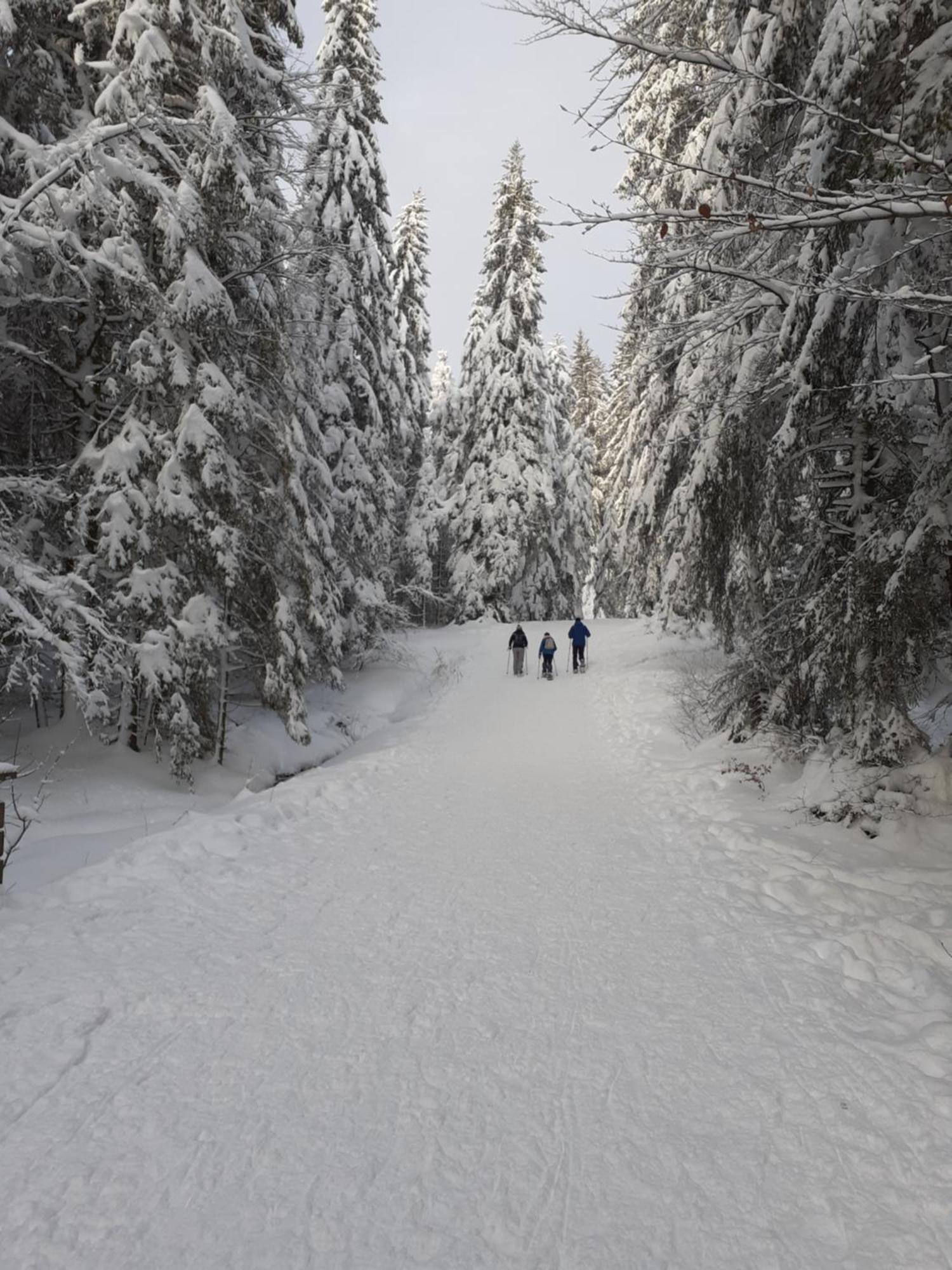 Domaine Des Hauts Viaux Ла-Бресс Экстерьер фото