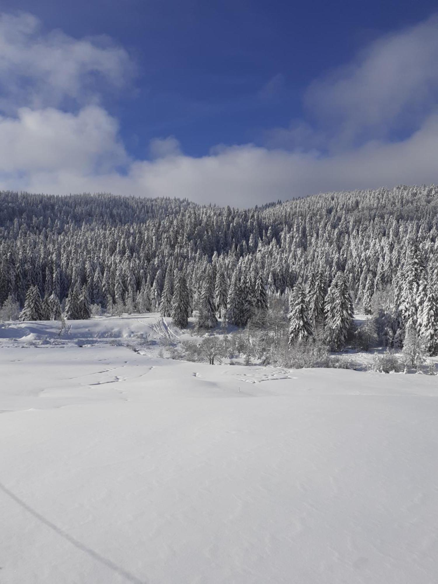 Domaine Des Hauts Viaux Ла-Бресс Экстерьер фото