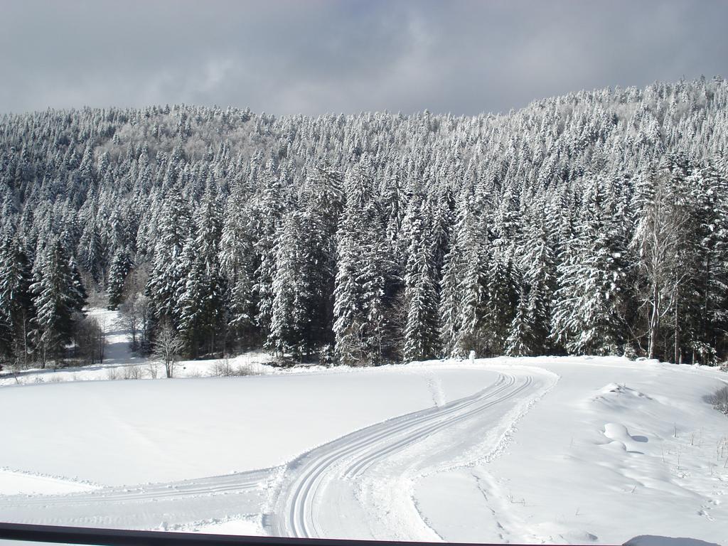 Domaine Des Hauts Viaux Ла-Бресс Экстерьер фото