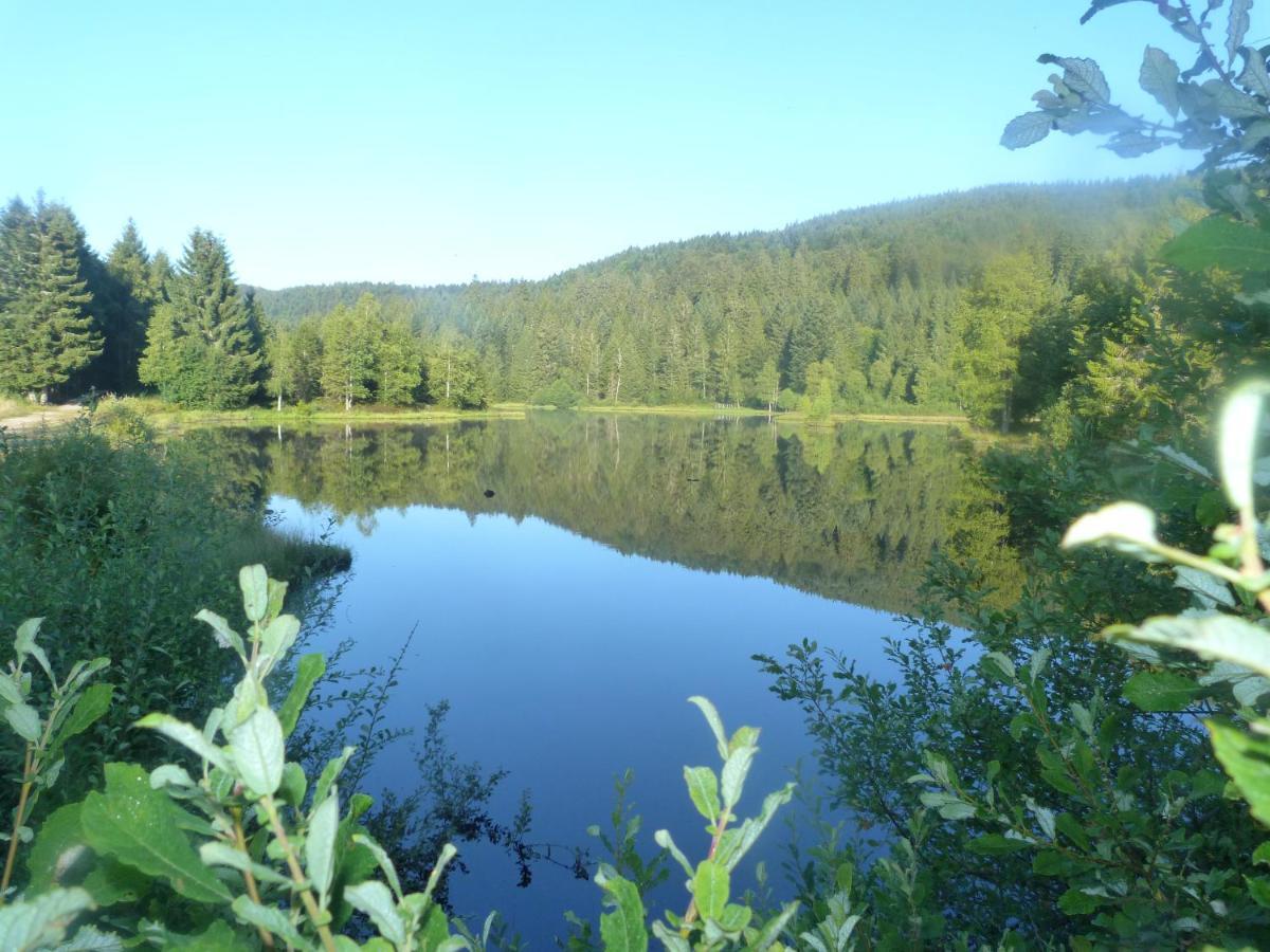 Domaine Des Hauts Viaux Ла-Бресс Экстерьер фото